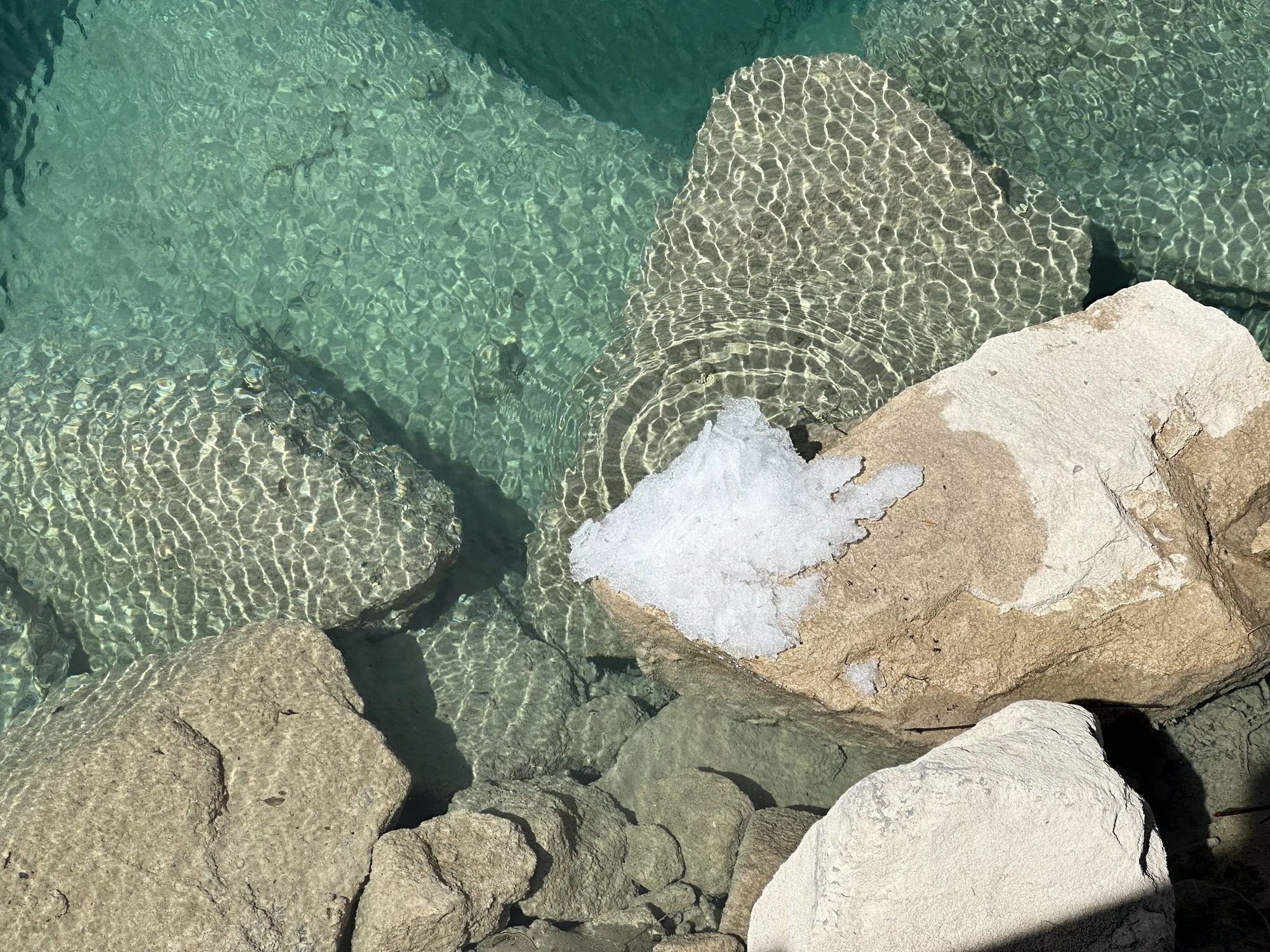 雪中鸟与水色