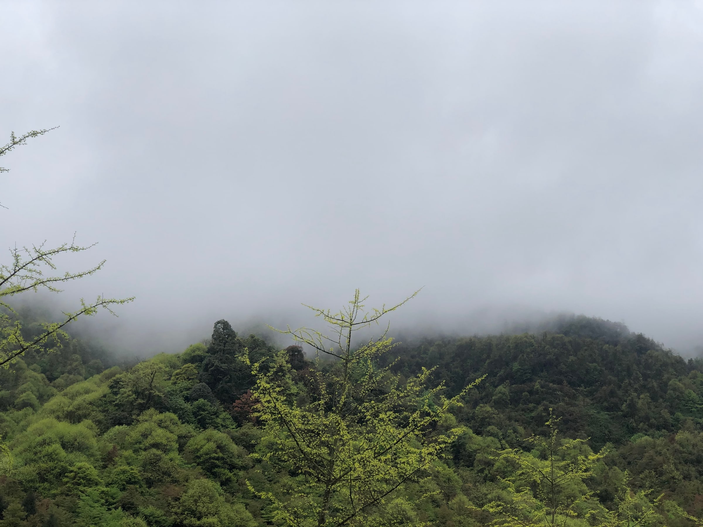 Heizhugou · Ganmo Aniu